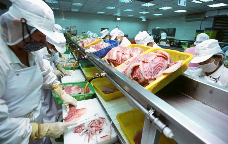 ưu điểm băng tải cá trong công nghiệp thực phẩm