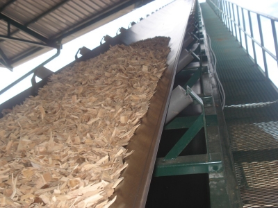 Hệ thống băng tải vận chuyển gỗ