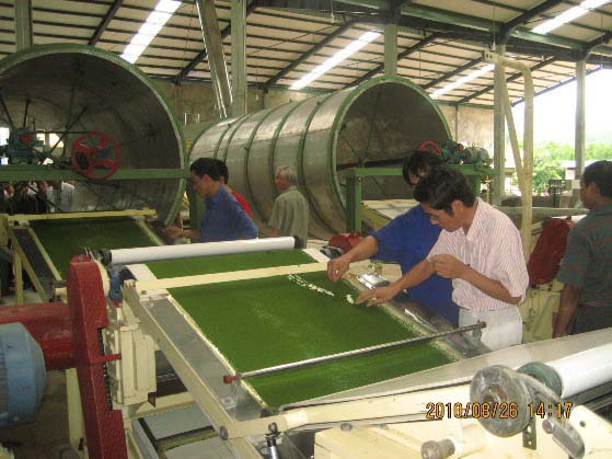 Quy trình hoạt động băng tải sấy chè
